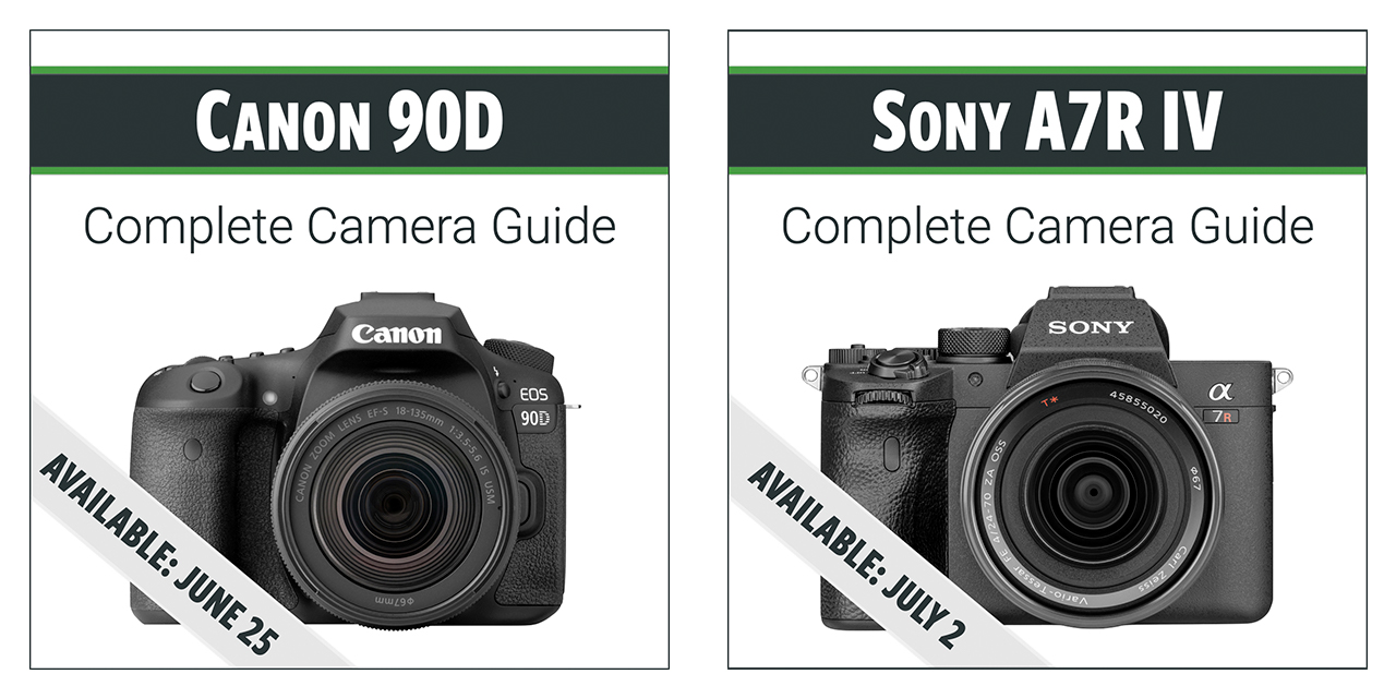 Sony A7 IV: Complete Camera Guide – John Greengo Photography